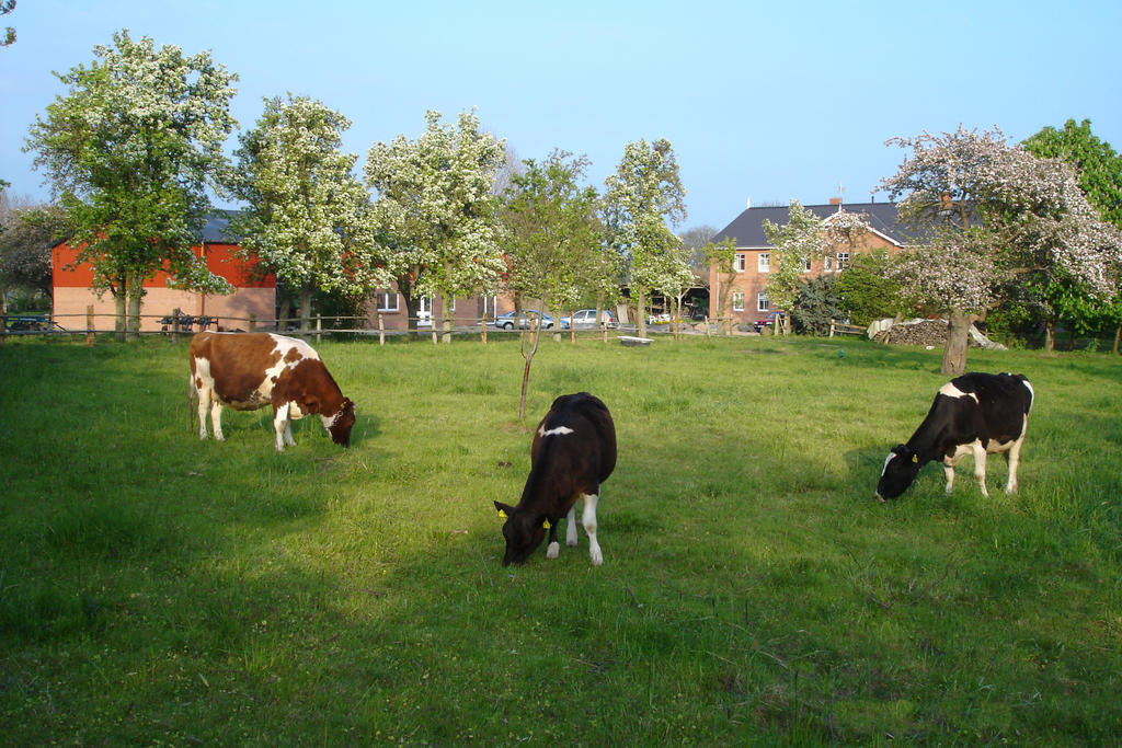 Hof Faasel - Bauernhofurlaub An Der Ostsee Grömitz Esterno foto